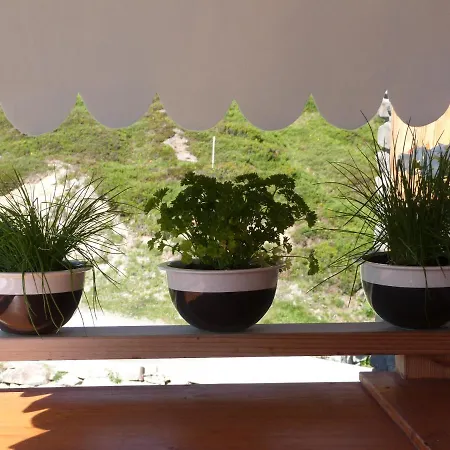 Ξενοδοχείο Wellness Tigilou 3*