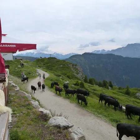 Wellness Tigilou 3* Belalp