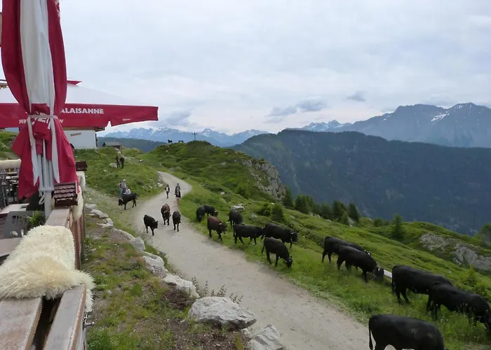 Wellness Tigilou 3* Belalp